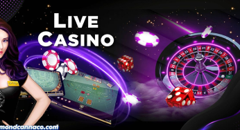 Panduan Terpercaya Bermain Red Blue Duel Casino Online
