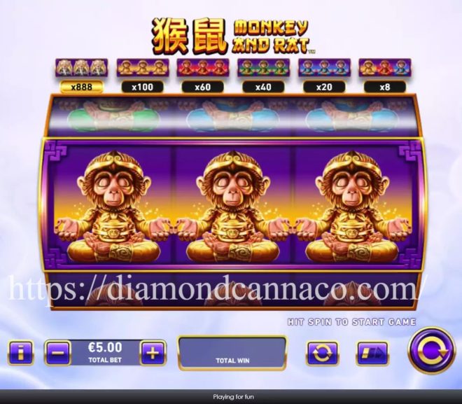 Monkey and Rat: Slot Bertema Monyet, Tikus, dan Petualangan Ceria